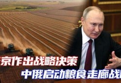 中俄最新爆料消息,揭秘两国合作背后的关键进展与影响