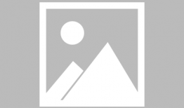 新乡今日爆料新闻直播最新,事件详情震撼曝光！”