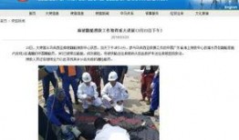 新船员最新爆料新闻事件,揭秘海上惊险事件背后的真相